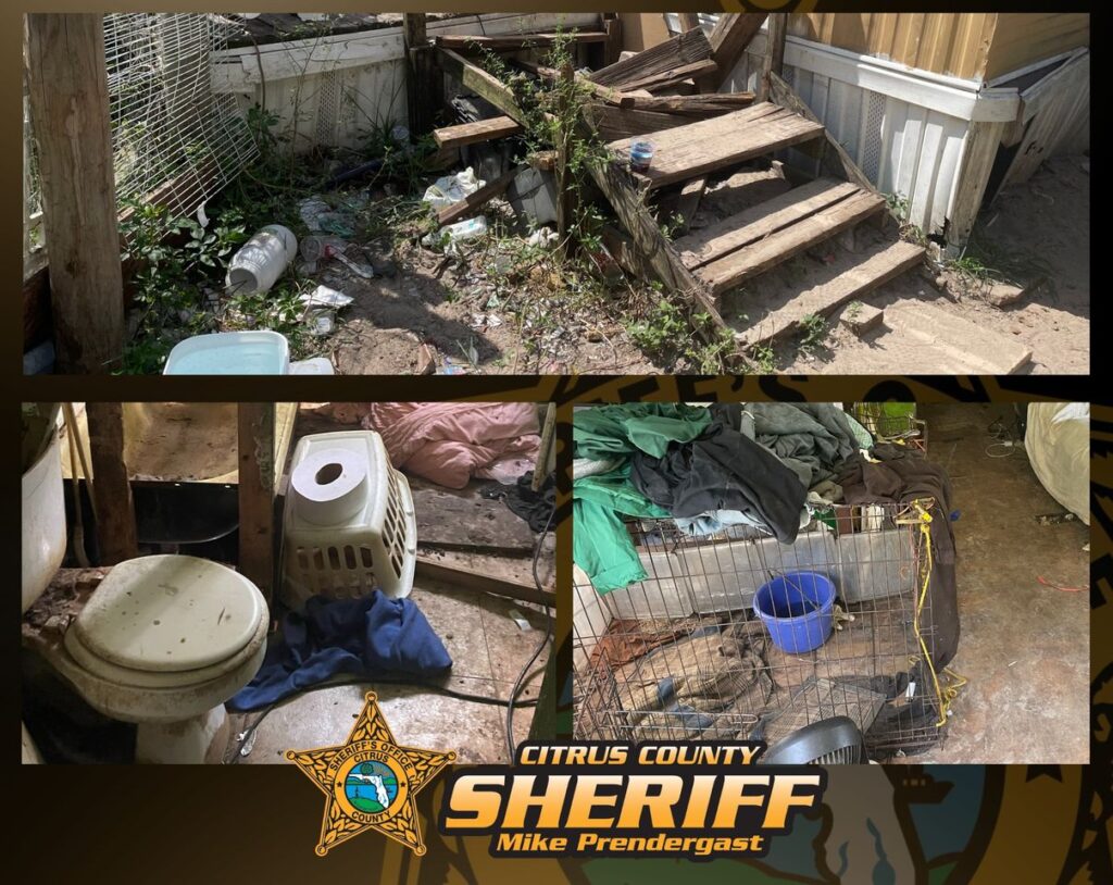 florida-sheriffs-arrest-two-for-animal-cruelty-and-neglect