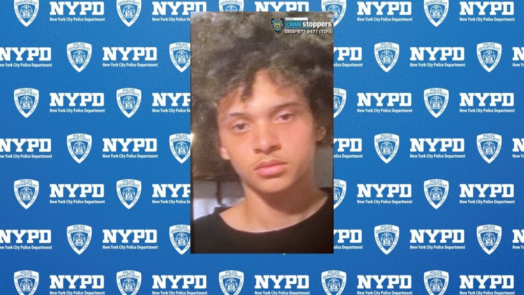 alert:-missing-bronx-teenager-sought-by-nypd