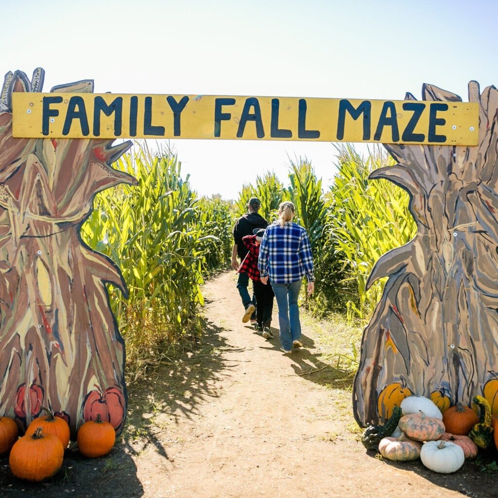 johnson’s-locust-hall-farm-fall-festival-features-5-acre-corn-maze