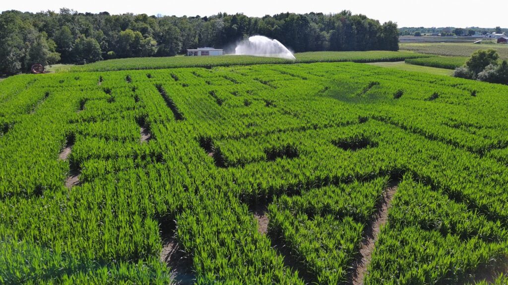 the-red-barn-farm-corn-maze-and-pumpkin-patch-offers-fun-filled-fall-activities