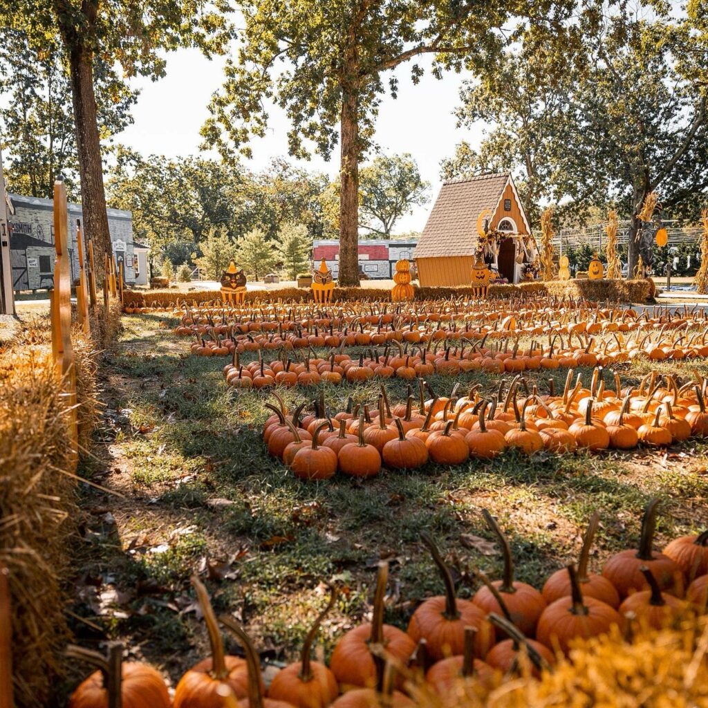 didonato’s-family-fun-center-hosts-“all-a-boo-trick-or-treat-train”