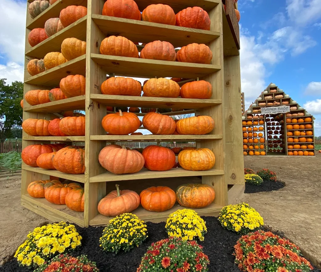 happy-day-farm’s-fall-festival-celebrates-the-season-with-pumpkin-picking-and-themed-mazes